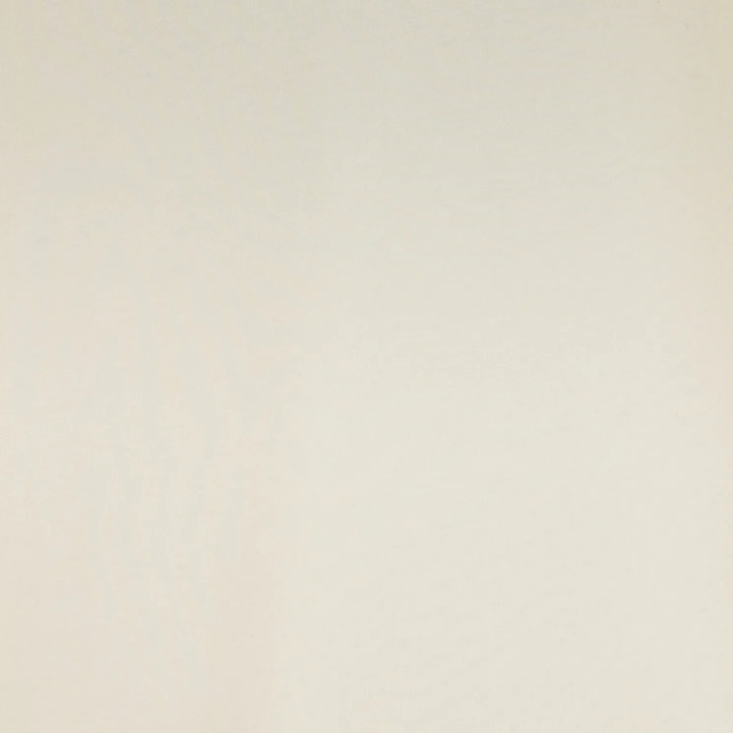 Katoenen T-shirt met ronde hals en print