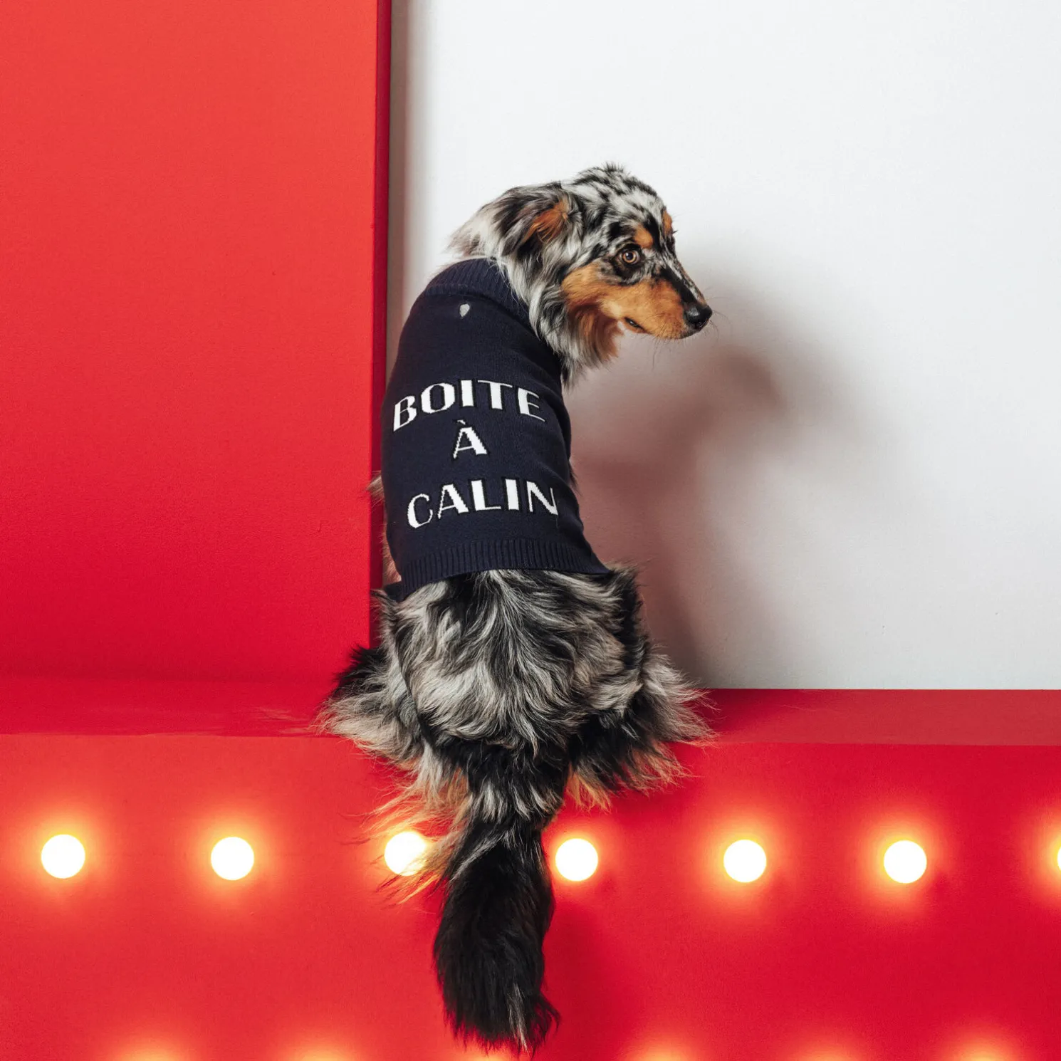 Kersttrui voor honden