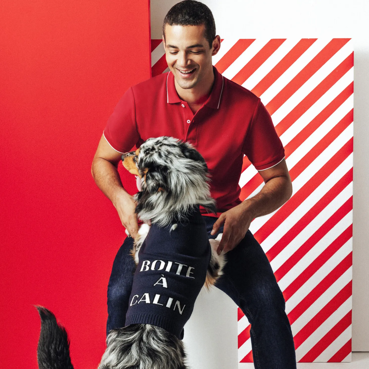 Polo in piquékatoen met korte mouwen